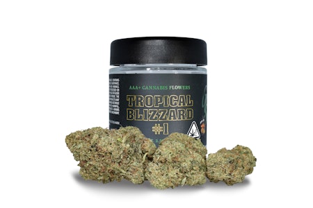 Greenshock - Tropical Blizzard - 3.5g (H) - Green Shock