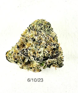 PROHIBITION 37 - P37 - Fat Albert