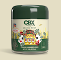 Casino Kush (I) | 3.5g Jar | Cannabiotix