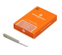 Canndescent - 3g - 6ct - Connect