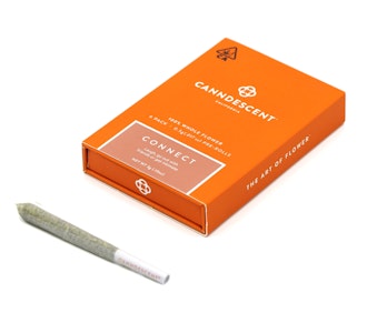CANNDESCENT - Canndescent - 3g - 6ct Pre Rolls - Connect