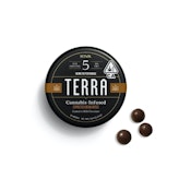 Chocolate Espresso Bean | Terra Bites 100mg |  Kiva 
