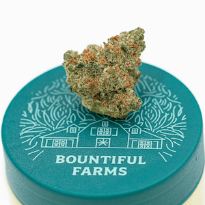 Bountiful Farms - Dripz - 14g Smalls - Bountiful Farms