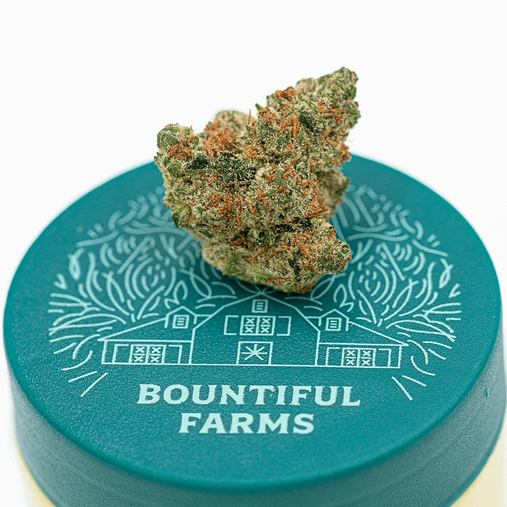 Bountiful Farms - Dripz - 14g Smalls - Bountiful Farms Main Image