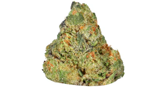 Astronauts - Space Gelato Cookies - 3.5g