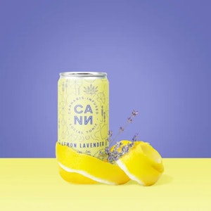 CANN - Cann Social Tonic 6pk Lemon Lavender CBD 2:1