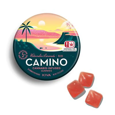 Camino - Watermelon Lemonade (100mg) Gummies Main Image