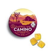 Camino - 100mg Gummies - Pineapple Habanero 