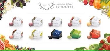 Wyld - Hybrid 1:1 Pomegranate Gummies 10 Pack (200mg)