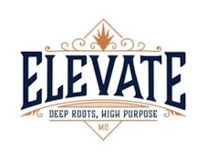 ELEVATE - LEMON G DISPOSABLE VAPE 0.5G