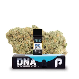 PLUGPLAY™ - PlugPlay 1g Vape Blue Dream - DNA