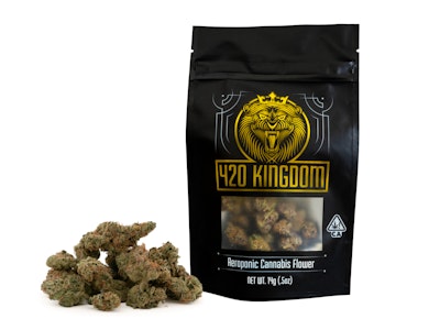 420 KINGDOM - Rainbow Sherbert #11 - 14g Smalls - 420K
