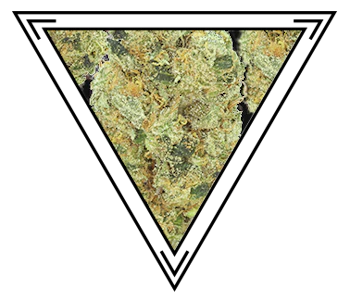 SANTA CRUZ ROOTS - Lemon Cream | 14g | Santa Cruz Roots