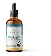 Quell - Strawberry Sorbet Tincture -(Stress Relief) - Quell Main Image