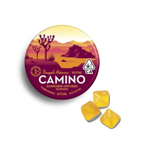 Camino - Pineapple Habanero - 100 mg