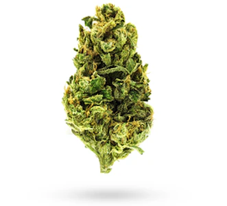 Humboldt Growers Network - Cream - 3.5g (IH) - HGN