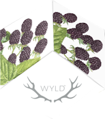 WYLD Marionberry Indica Gummies 100mg