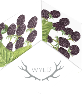 WYLD - WYLD Marionberry Indica Gummies 100mg
