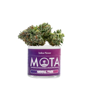 MOTA - Mota Flwr 8th Animal Face Ind