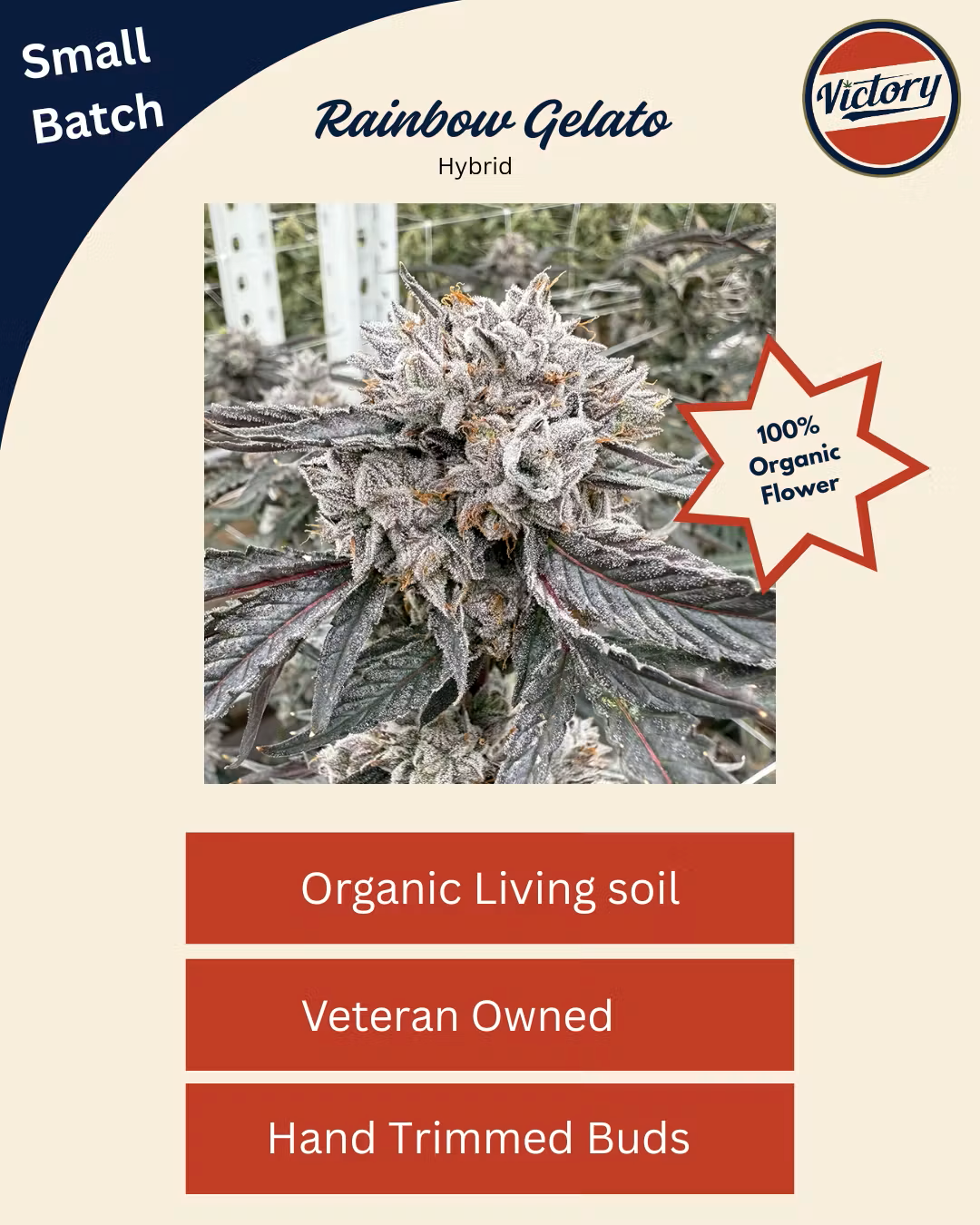 [REC] Victory Natural Farms | Rainbow Gelato | 3.5g Flower