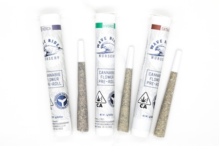 Wave Rider - Kush Mintz - 1g (H) - Wave Rider