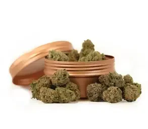 Ruby Farms - Ruby Farms | Exotic Flower | Tangie Biscotti | 3.5g Main Image