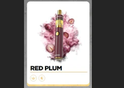Dime Disposable Red Plum 2g