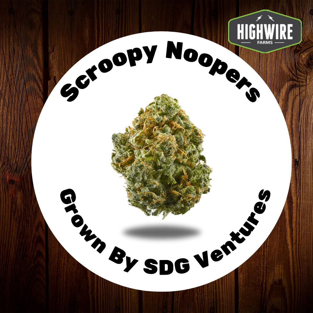 SDG VENTURES - Scroopy Noopers 1/8th Main Image