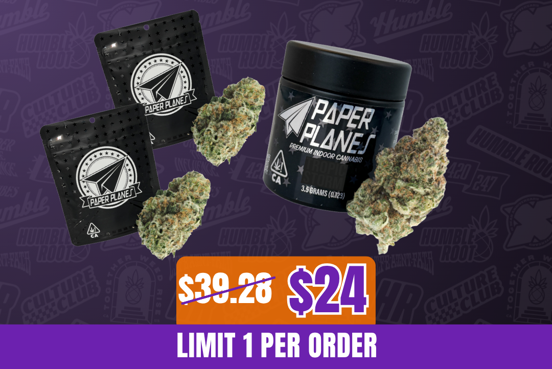 5.5g Paper Plane Twin Strain Bundle picture