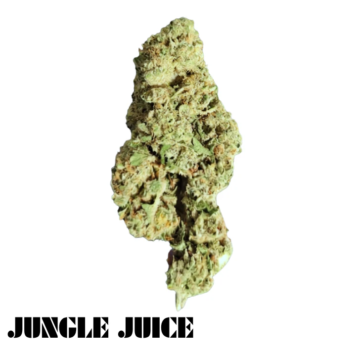Truforia - Truforia - Jungle Juice Main Image