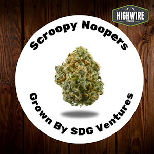 SDG VENTURES - Scroopy Noopers OZ