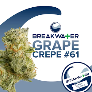 Breakwater - [REC] Breakwater | Grape Crepe #61 | 3.5g Flower