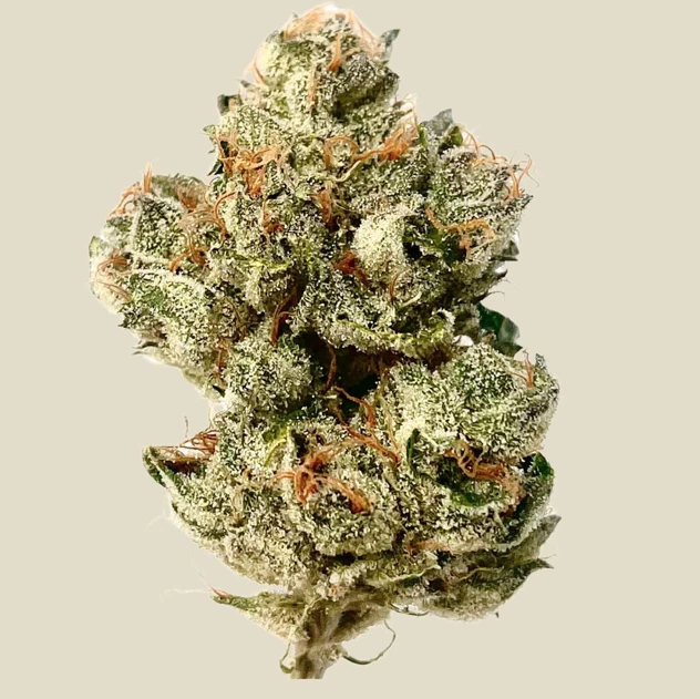 CBX - CBX - RPG - .75g Pre-Roll Main Image
