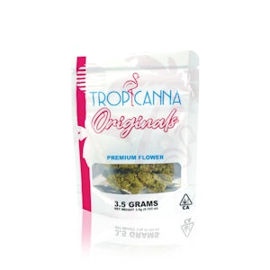 TROPICANNA - TROPICANNA - Flower - Government Oasis - 3.5G