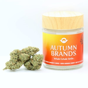 Autumn Brands - GMOG - Hybrid (3.5g)