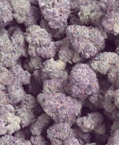 Amsterdam | Ghost Rider | 28g Prepack