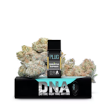 Pineapple Express (H) | 1g Pod | Plugplay