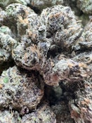 Pink Sherb Indoor $79 half/$119 Oz