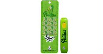 Paletas - Jolly Apple AIO - 1g