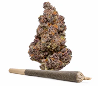 Campfire Cannabis- Tropicana Cherry | 1g Case | Pre-roll (Raw Pre-Rolls)
