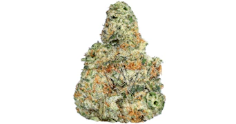 Delighted - Alien Kush - 3.5g