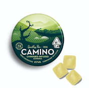 KIVA: Camino Sparkling Pear 1:3 (THC:CBD) "Social" Gummies 20-Piece/100mg (H)