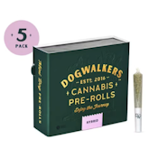 Dogwalkers | 5pk (.35g) Prerolls | Runtz S1 | 1.75g