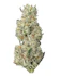 Product Preview Image 2