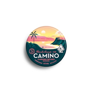 Camino - Camino Watermelon Lemonade Gummies 100mg