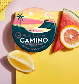 Watermelon Lemonade Bliss