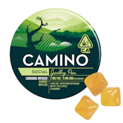 Camino Sparkling Pear | Social| Kiva | 100mg Gummies