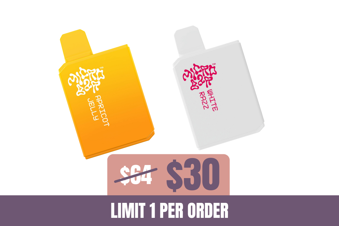 53% off 2g Micro Bar Vape Bundle picture
