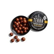 Terra: Sea Salt Caramel Bites 100mg