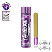 Jeeter | XL Infused Preroll | Granddaddy Purp | 2g